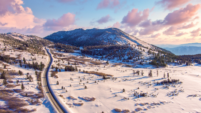 Nevada mountains with trees and snowfall