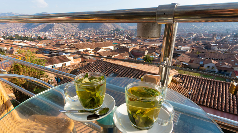 Coca tea with view of Cusco