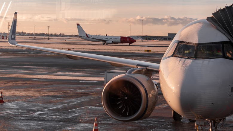 Frosted airplane parked on tarmac