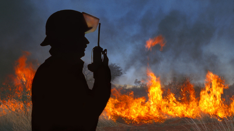 A firefighter on a walkie in front of a forest fire.