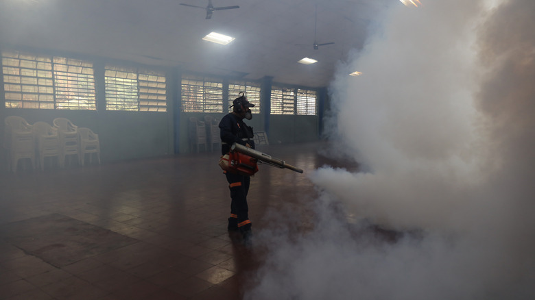 A fumigator sprays down a large room