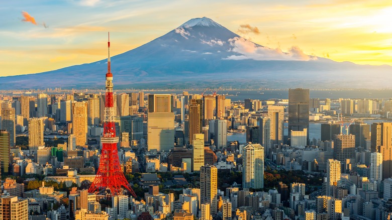 Tokyo skyline featuring a radio tower and Mt. Fuji