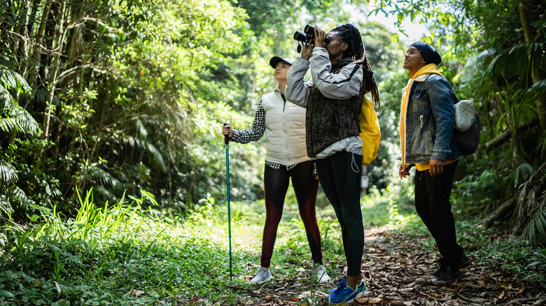 Group birdwatching