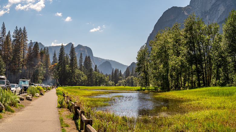 Cook's Meadow loop trail