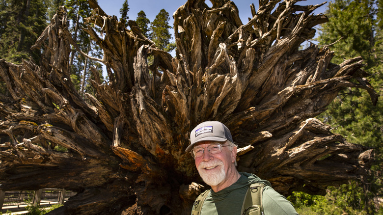 man poses at Mariposa Grove