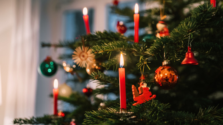 Candles adorn a Christmas tree