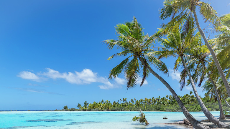 unspoiled blue lagoon in Fakarava's UNESCO Biosphere Reserve