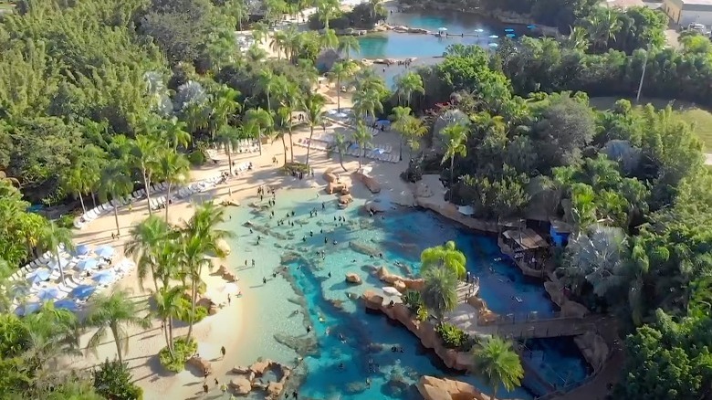 Arial shot of Discovery Cove 