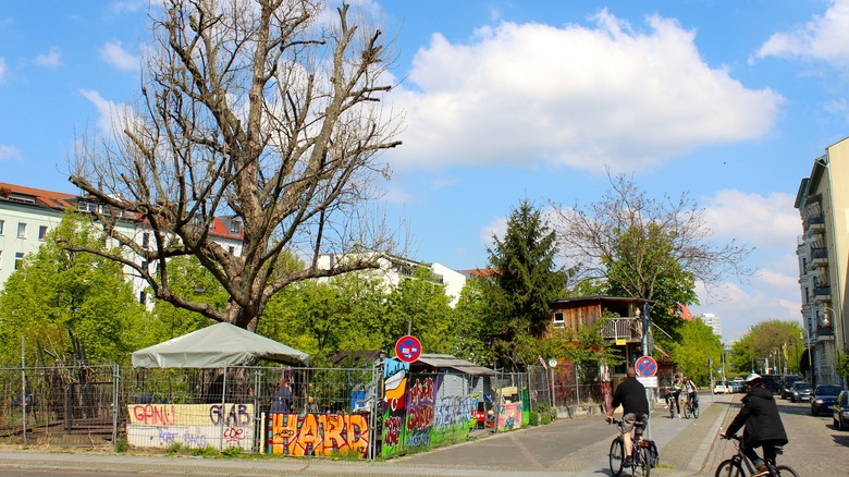 Treehouse on Berlin Wall 