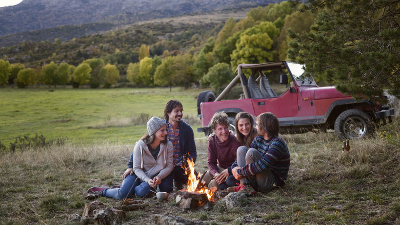 A group of friends enjoying a campfire