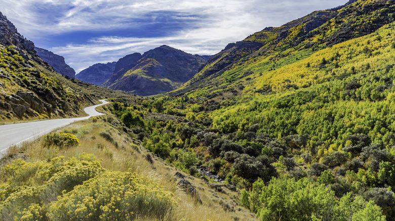 Lemoille Canyon in the Ruby Mountain Wilderness