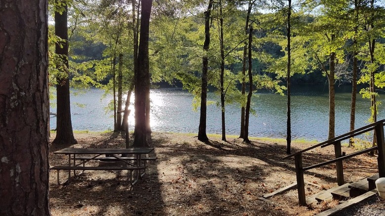 Lake Lurleen campsite