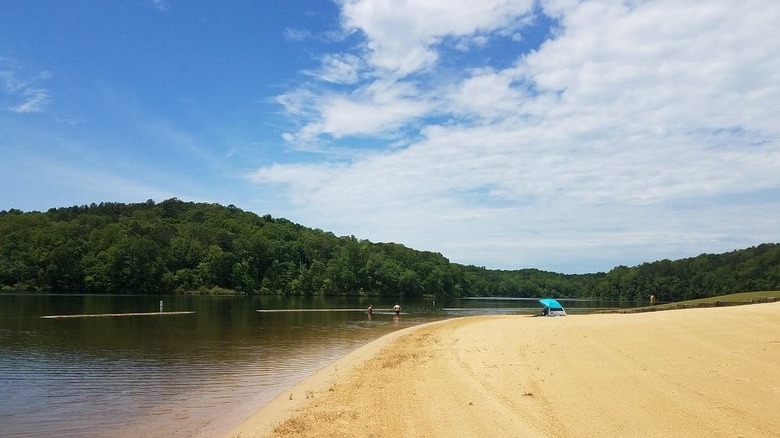 Lake Lurleen shoreline