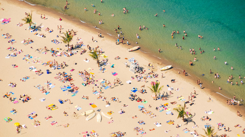 aerial view of beach goers
