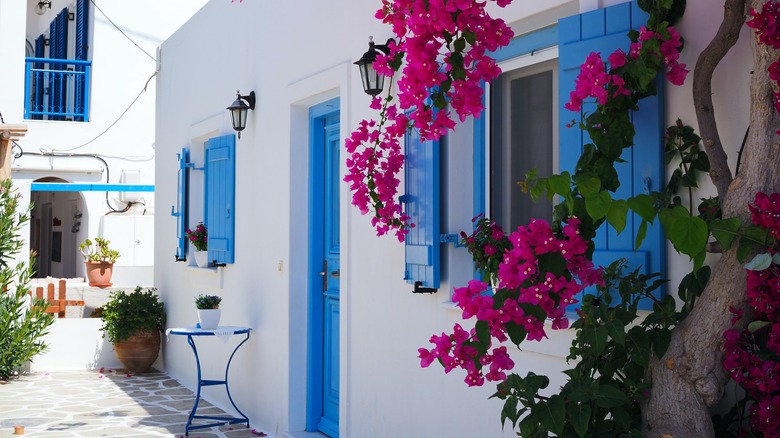 Antiparos' white and blue houses