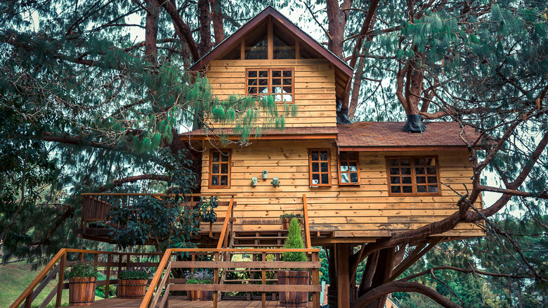 Luxury treehouse