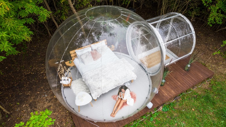 Glamping bubble tent in forest