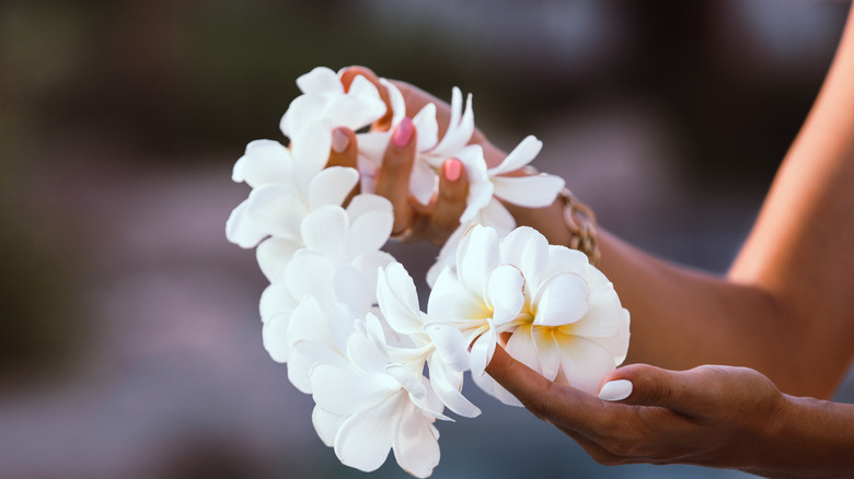 Hands presenting a flower lei