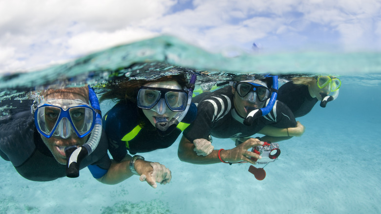 Group of snorkelers in wetsuits underwater