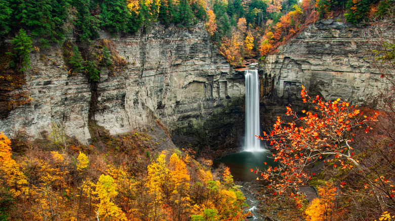 tall waterfall plunging autumn