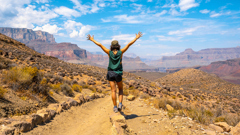 Hiker on trail in colorful canyon