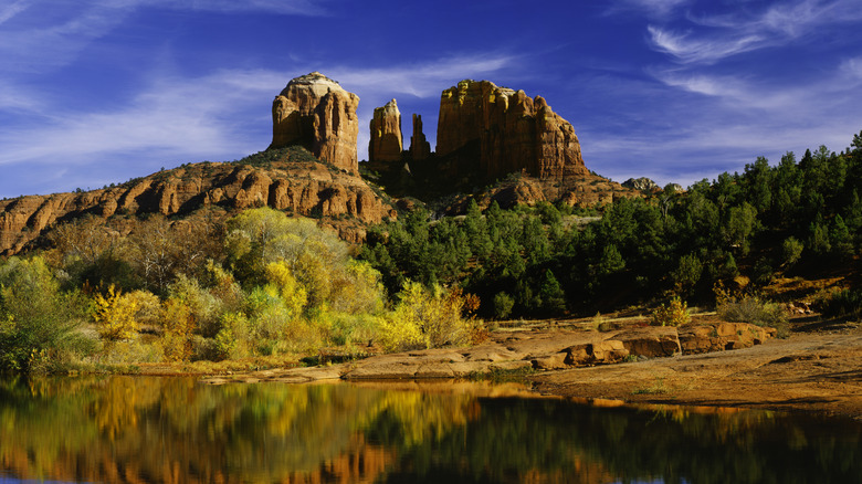 Fall colors against red rocks