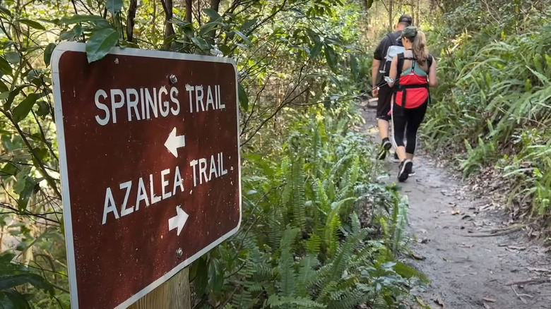 Trail signage and hikers