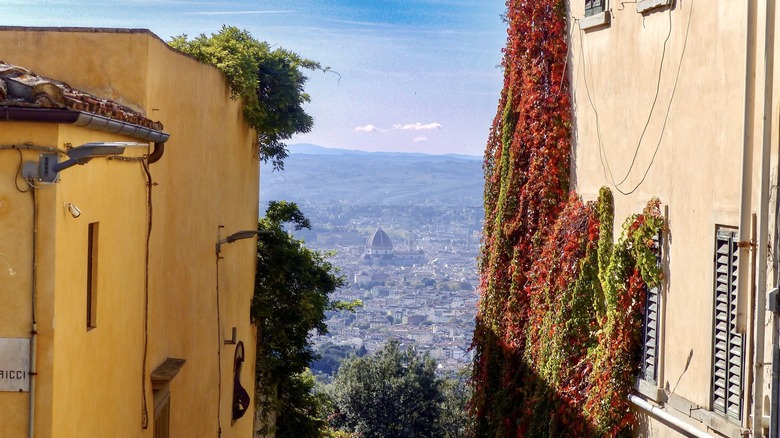 Views of Florence from Fiesole
