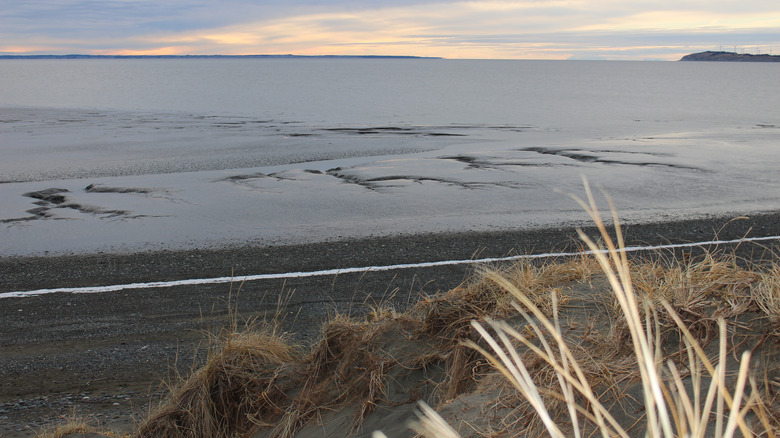 Kincaid beach from shore