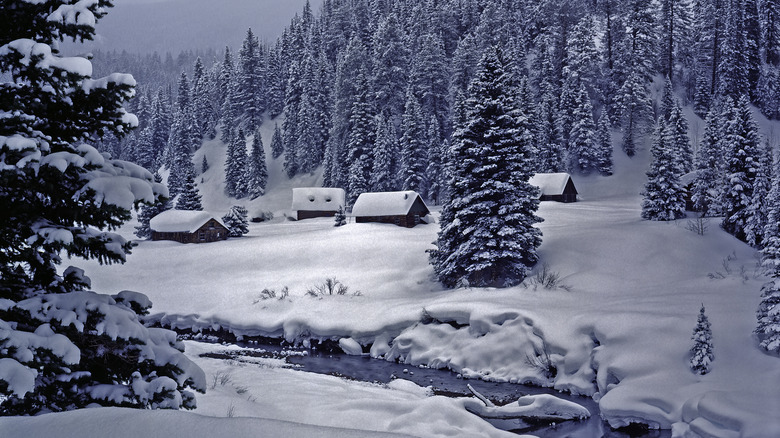Snowy cabins at Dunton resort