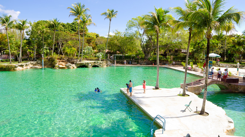 People swimming at Venetian Pool