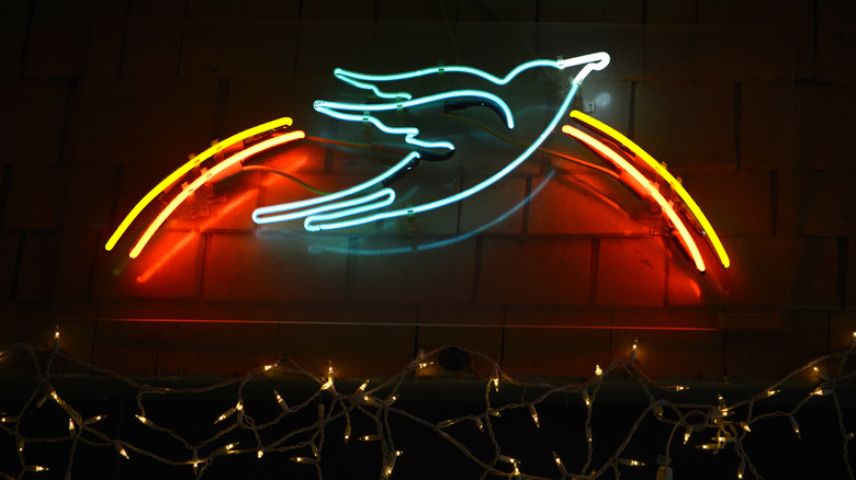 Bluebird Cafe neon sign pixie lights