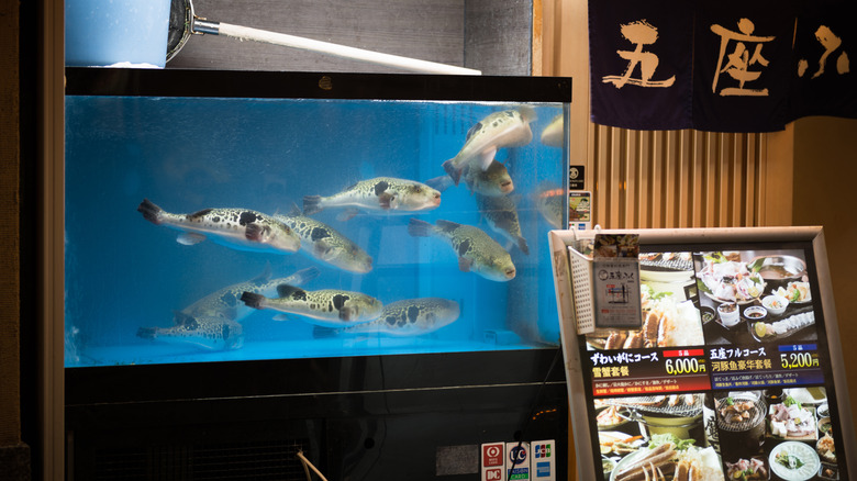 aquarium at Tokyo restaurant