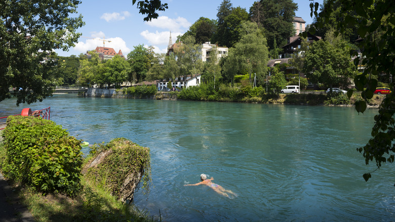 Person swimming in Aare River