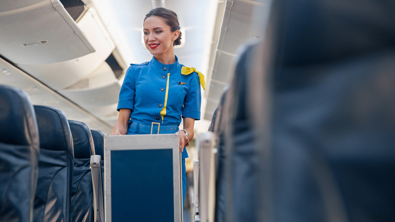 Flight attendant in aisle