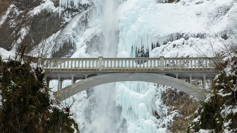 Multnomah Falls encased in ice