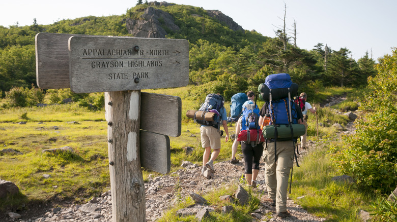 Friends hike down trail in Grayson Highlands State Park