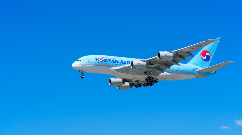 A Korean Air plane in flight