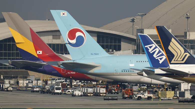 Different airline planes lined up at an airport.