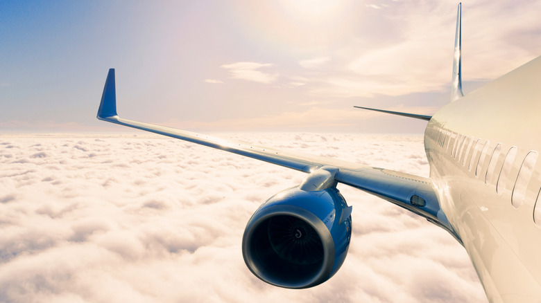 The wing of an aircraft in flight.