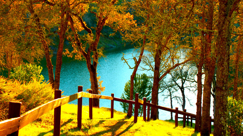 Hiking trail above Lake Berryessa and trees