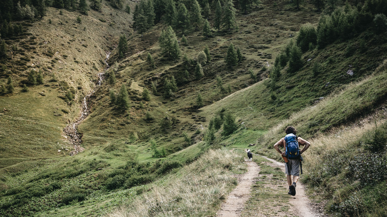 Man walking dog in Apennine Mountains
