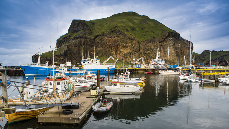 Harbor boats Westman Islands Iceland