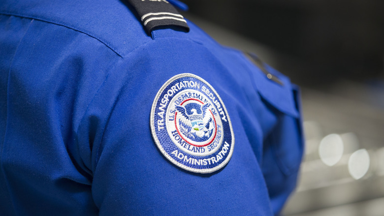 TSA agent uniform arm patch