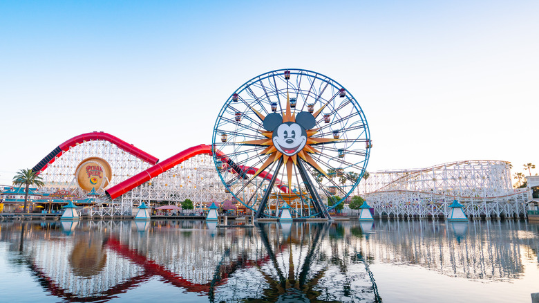 Incredicoaster behind ferris wheel