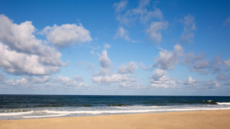 Newcomb Hollow Beach on sunny day 