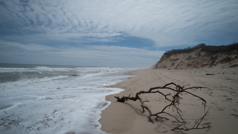 Newcomb Hollow Beach on cloudy day 