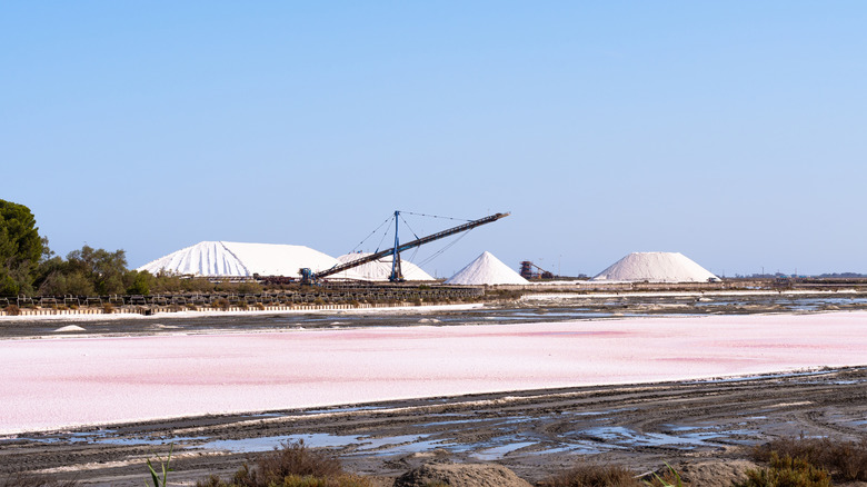 Salins d'Aigues-Mortes