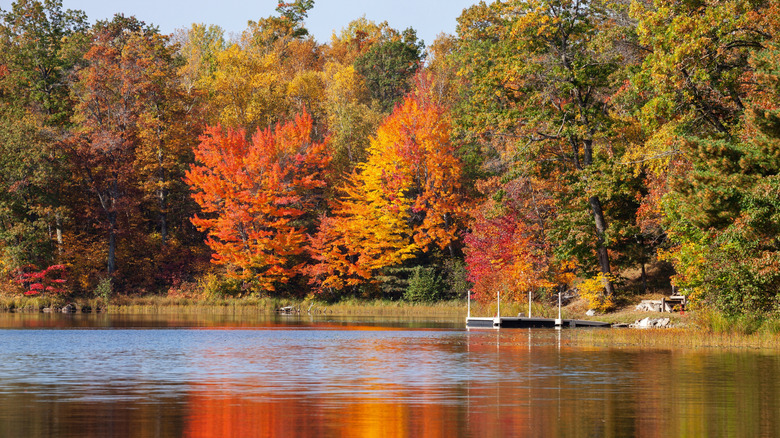 Colorful trees along Minnesota lake