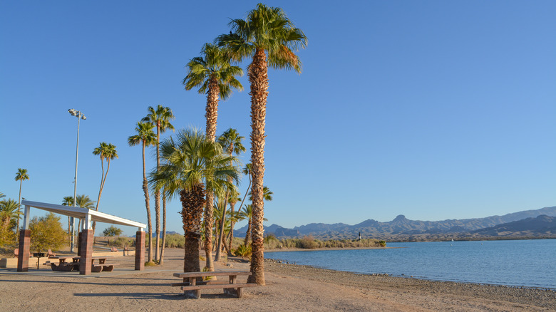 Rotary Park, Lake Havasu